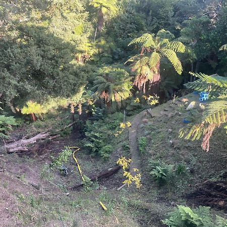Gully Retreat Hotel Hamilton Luaran gambar