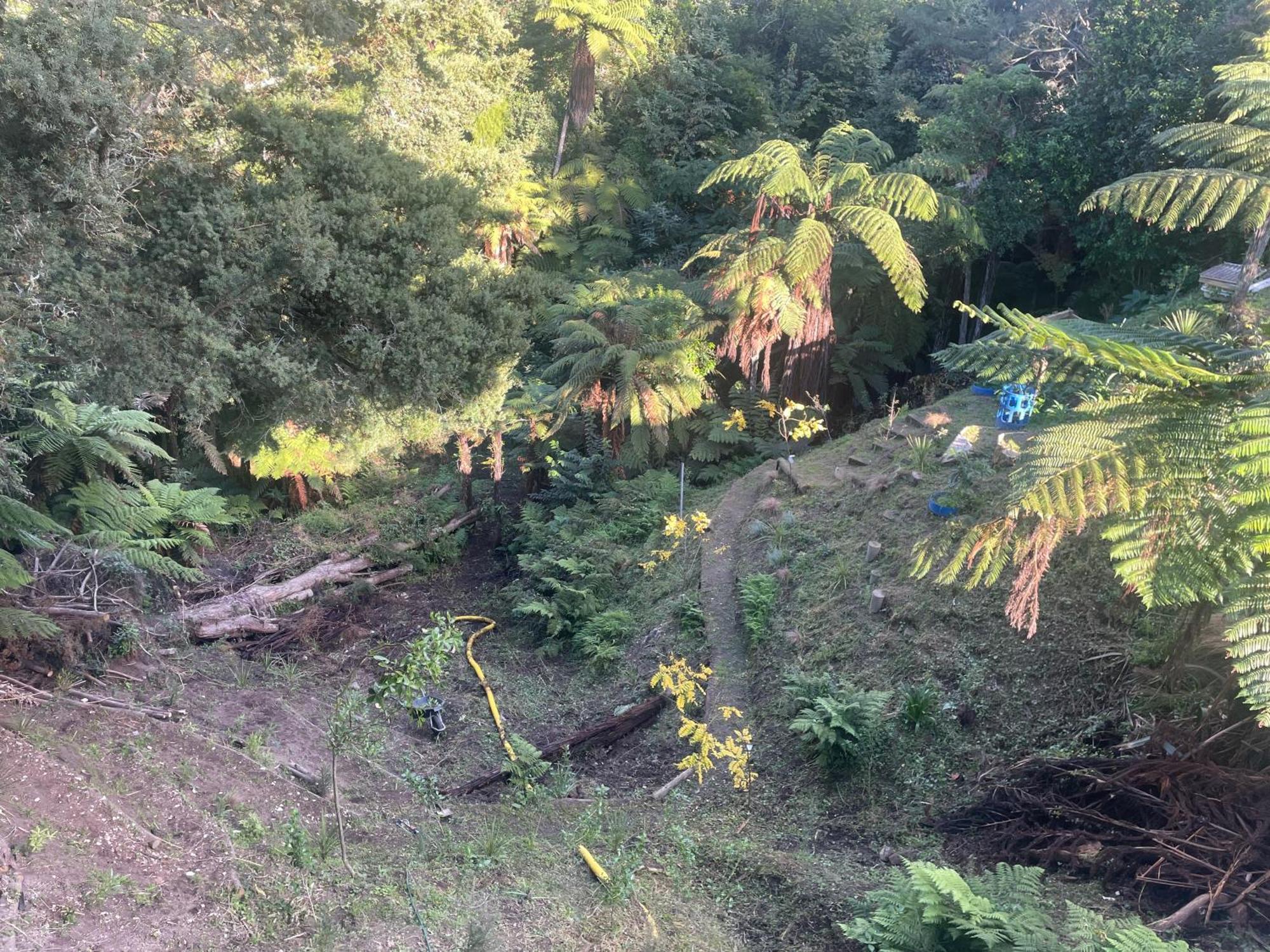 Gully Retreat Hotel Hamilton Luaran gambar