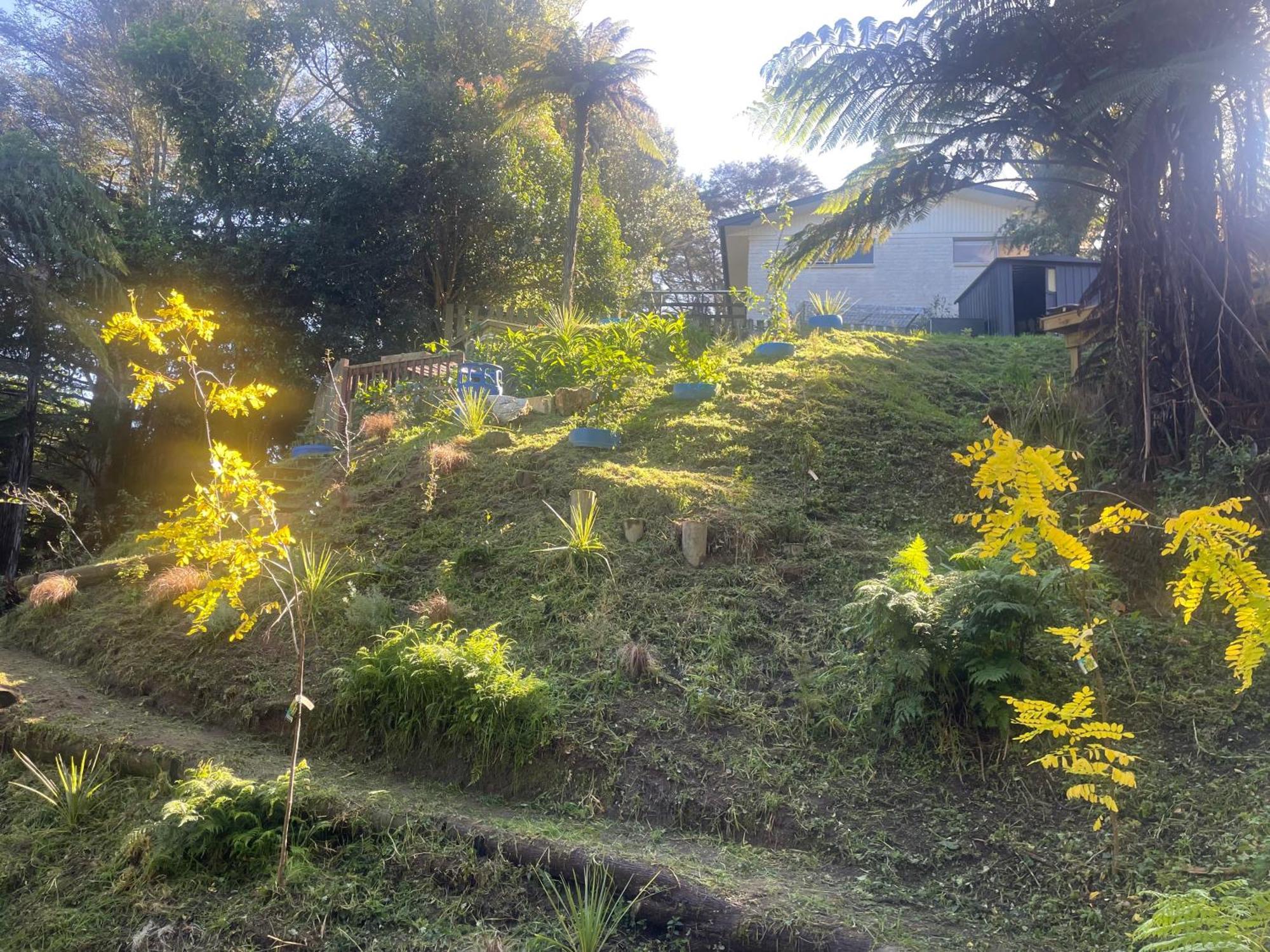 Gully Retreat Hotel Hamilton Luaran gambar